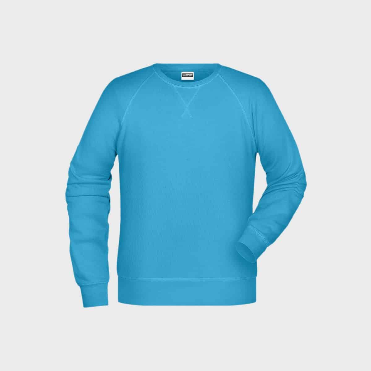 Das Herren-Sweatshirt aus Bio-Baumwolle, ein hellblaues Langarm-Sweatshirt mit Rundhalsausschnitt aus weicher Bio-Baumwolle, ist auf einem schlichten weißen Hintergrund zu sehen. Dieses Herren-Sweatshirt hat ein schlichtes, solides Design mit gerippten Bündchen und Saum, das Komfort und Stil gewährleistet.